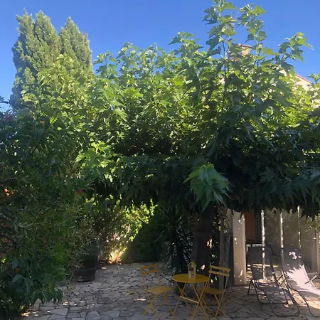 Reine Du Sud Proche Des Grands Buffets