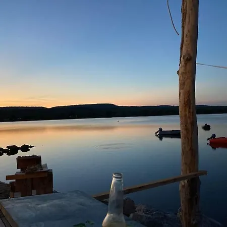 Reine Du Sud Proche Des Grands Buffets